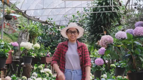 温室内の植物の上に親指を示す笑顔の庭師の女性の肖像画 フラワーガーデンで働く若い女性起業家 小規模事業主の立ち上げ — ストック動画