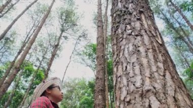 Çam ormanındaki ağaçlara bakan mutlu bir hipster kadının düşük açılı görüntüsü. Dünya çevre günü kavramı