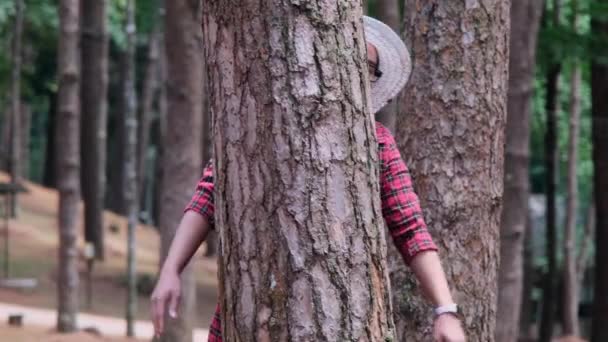 Szczęśliwa Hipsterka Przytulająca Drzewo Miłością Troską Patrząca Kamerę Sosnowym Lesie — Wideo stockowe