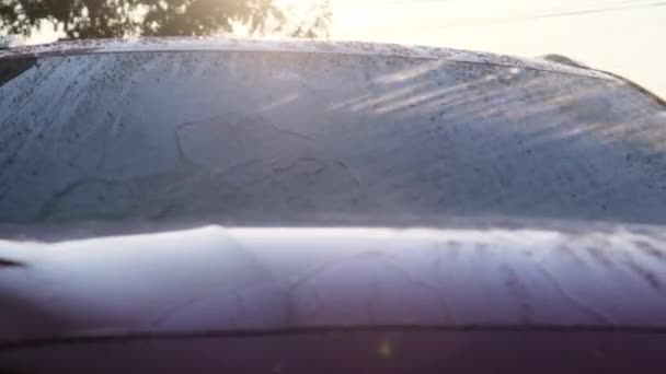 Close Water Flowing Car While Worker Using High Pressure Washer — Stockvideo