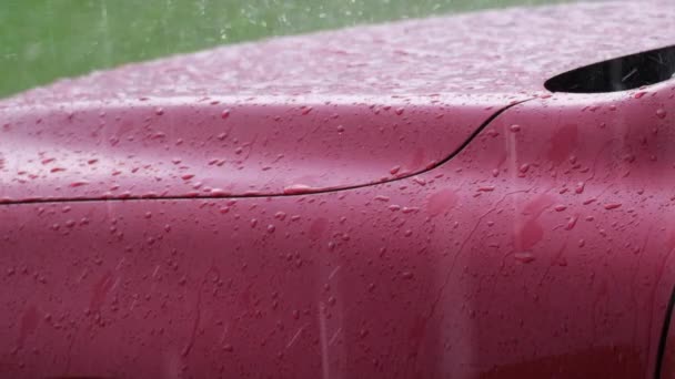Slow Motion Close Falling Rain Bouncing Raindrops Red Car Hood — Wideo stockowe