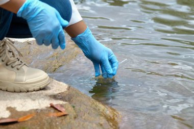 Eldivenli kadın çevreci ellere yakın bir yerde enfeksiyonları araştırmak ve test etmek için nehirden su örnekleri topluyor. Su ve ekoloji kavramı