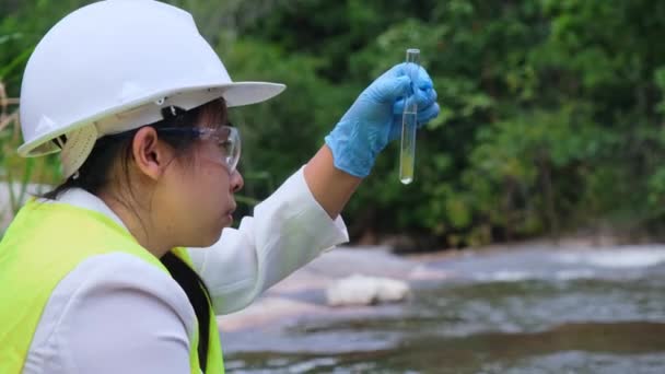 Les Femmes Écologistes Mains Dans Gant Recueillent Des Échantillons Eau — Video