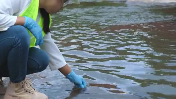 Жіночі Екологічні Руки Рукавичках Збирають Зразки Води Річки Вивчення Тестування — стокове відео