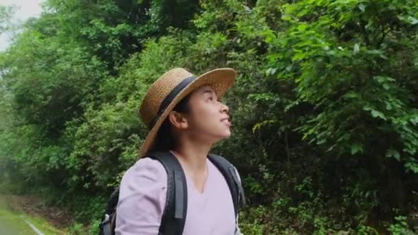 Viajante Feliz Mulher Chapéu Com Uma Mochila Caminha Uma Estrada — Vídeo de Stock