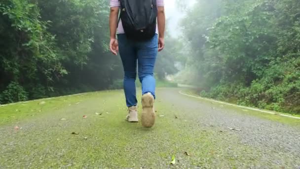 Gelukkige Vrouwelijke Reiziger Wandelschoenen Met Een Rugzak Wandelingen Een Mossige — Stockvideo