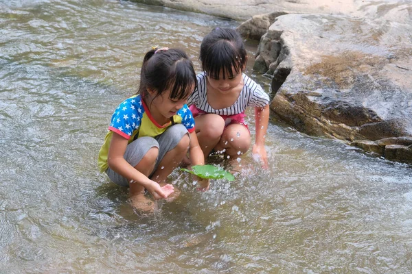 Glückliches Süßes Kleines Mädchen Und Ihre Schwester Spielen Wasser Bach — Stockfoto