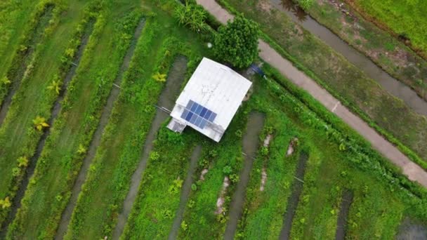 Aerial View Photovoltaic Solar Panels Suburban House Roof Top Surrounded — Wideo stockowe