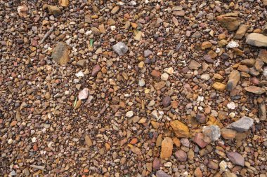 River stones background. Close-up of a natural river bank stone in a mountain forest in central Thailand. Stone and ecology concept.