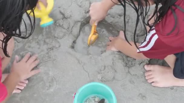 Cute Little Sisters Playing Sand Beach Summer Holidays Children Building — Stok Video