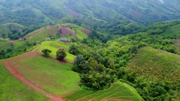 Zeitraffer Von Grünen Reisfeldern Und Tropischer Berglandschaft Der Regenzeit Auf — Stockvideo