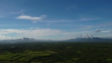 Aerial view of green fertile farmland of rice fields. Beautiful landscapes of agricultural or cultivating areas in tropical countries.