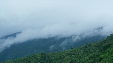 Kuzey Tayland 'da sabah sisli deniz ve tropikal dağ ormanlarının hava manzarası. Doğal manzara arka planı.