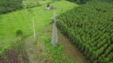 Tropikal bir ülkedeki okaliptüs ormanının yakınındaki yüksek voltaj direklerinin ve elektrik hatlarının havadan görüntüsü. Doğal manzara arka planı.