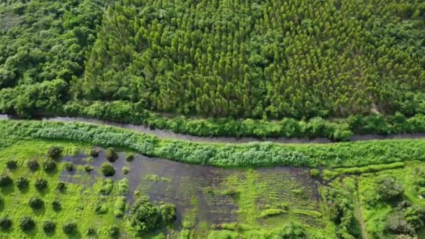 Vista Aérea Canal Irrigação Que Atravessa Terras Agrícolas Rurais Vista — Vídeo de Stock
