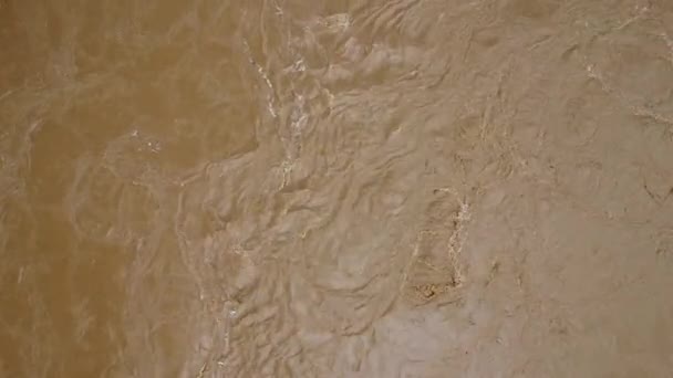 Água Inundação Suja Fluindo Rapidamente Rio Montanha Margem Rio Entrou — Vídeo de Stock