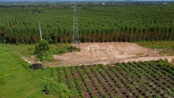 农村高压杆基础建筑工地的空中景观 热带农村地区绿地中高压电塔和电线的最高视图 — 图库视频影像