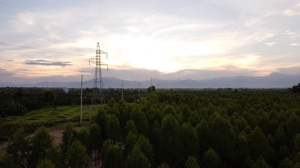 Aerial view of high voltage pylons and wires in the sky at sunset in the countryside. Drone footage of electric poles and wires at dusk.