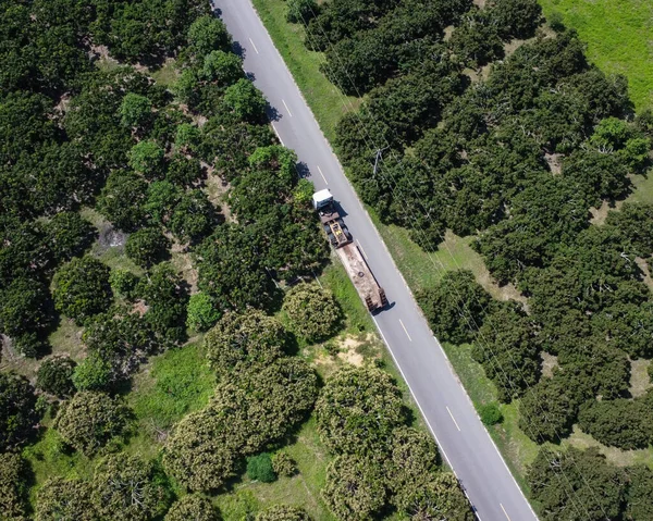 Vista Aérea Camión Viejo Una Carretera Que Lleva Troncos Eucalipto — Foto de Stock