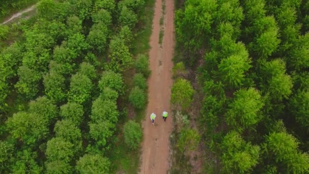 Biologen Het Veld Onderzoeken Eucalyptusbossen Met Gegevens Voor Onderzoek Mannelijke — Stockvideo