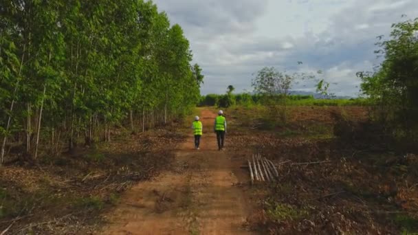 Biologen Het Veld Onderzoeken Eucalyptusbossen Met Gegevens Voor Onderzoek Mannelijke — Stockvideo