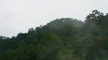 doğal mineral Bahar, full hd sıcak.