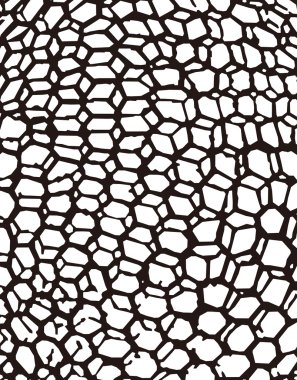 Grafik deseni