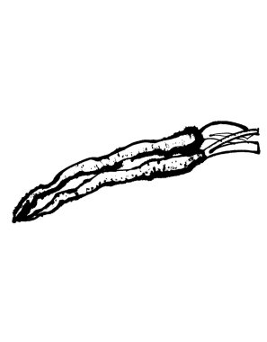 Grafik deseni