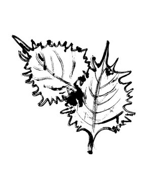 Grafik deseni