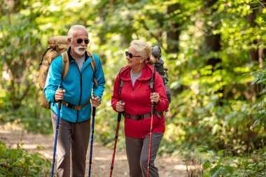 Doğada kıdemli bir çift ormanda yürüyor. Yürüyüş.