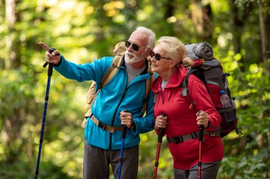 Senior couple in nature,walking through forest. Hiking. clipart