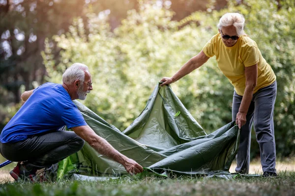 Starsza Para Rozkłada Namiot Lesie Wędrówce Ludzie Natura Koncepcja Stylu — Zdjęcie stockowe