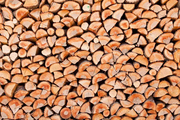 Pila de leña seca de madera de abedul — Foto de Stock