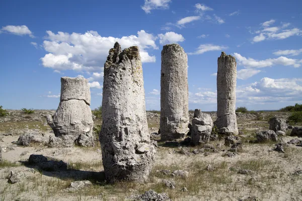 Forêt de pierres près de Varna, Bulgarie, Pobiti kamani, phénomène rock — Photo