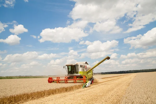 Combiner le travail sur un champ de blé — Photo