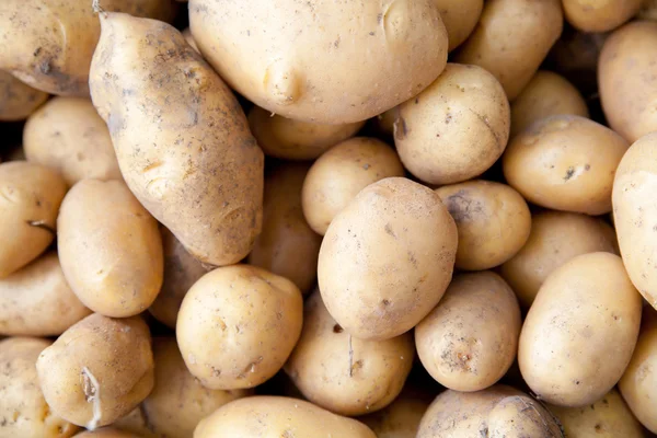 Patatas sucias verduras crudas alimentos — Foto de Stock