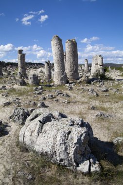 varna, Bulgaristan, pobiti kamani, kaya fenomen yakınındaki taş orman