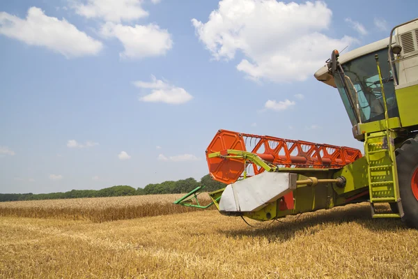 Combine harvester on a wheat field Stock Picture