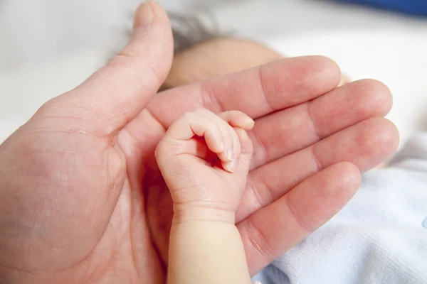 Sostenga una mano del recién nacido — Foto de Stock