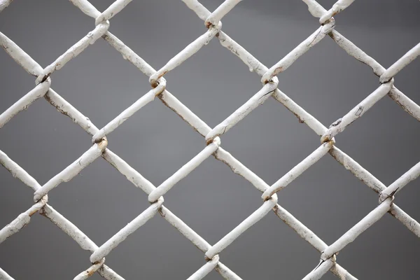 Wire fence close up — Stock Photo, Image