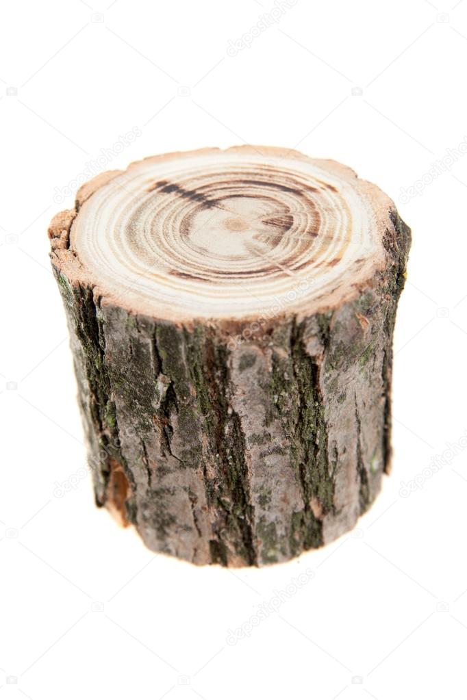 tree stump, isolated on white