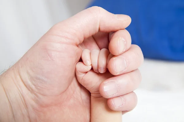 握着新生的婴儿的手 — 图库照片