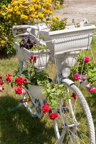 Stary rower z kwiatów doniczkowych — Zdjęcie stockowe