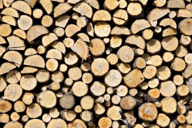 Stack of dried firewood of birch wood clipart