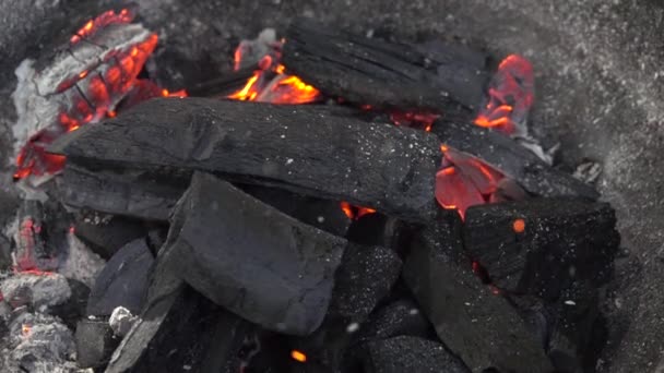 Detailní Záběr Hořících Uhlíků Grilu Horké Uhlí Grilu Zpomalený Pohyb — Stock video