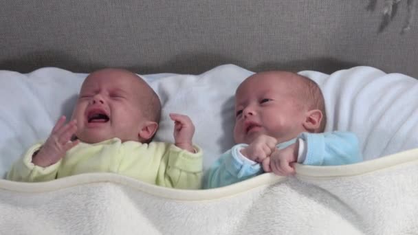 两个女孩姐姐躺在床上 两个双胞胎宝宝在床上 一个在哭 — 图库视频影像