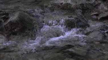 Nehir şelalesi kayaları akar. Dağ nehri. Nehir deresi deresi.