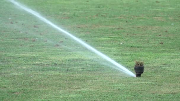 Sistema Aspersão Trabalhando Grama Verde Fresca Estádio Futebol — Vídeo de Stock