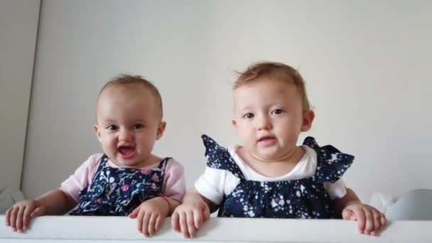 两个兄弟双胞胎姐妹在婴儿床里玩得很开心 两个婴儿站在婴儿床里 — 图库视频影像