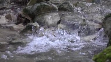 Nehir şelalesi kayaları akar. Dağ nehri. Nehir deresi deresi. Yavaş çekim.